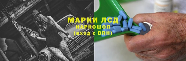 PSILOCYBIN Верея