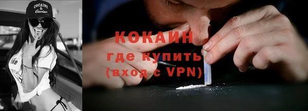 PSILOCYBIN Верея