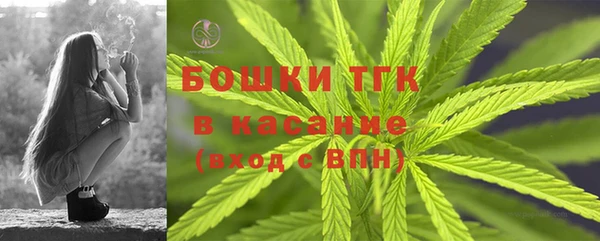 PSILOCYBIN Верея